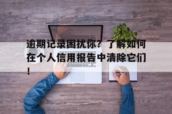 关于逾期记录困扰你？了解如何在个人信用报告中清除它们！的信息