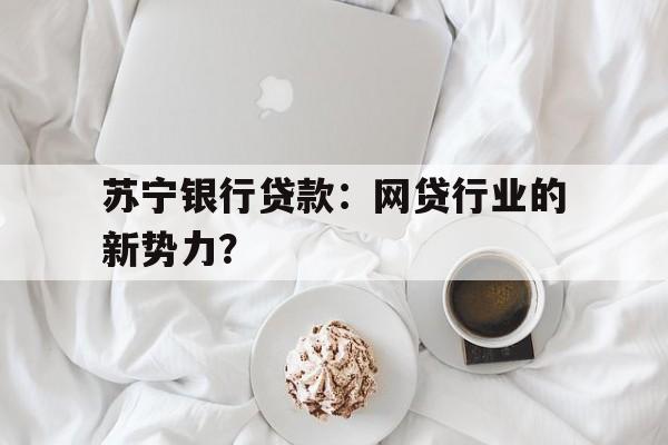 苏宁银行贷款：网贷行业的新势力？