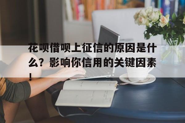 花呗借呗上征信的原因是什么？影响你信用的关键因素！