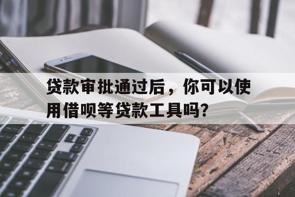 贷款审批通过后，你可以使用借呗等贷款工具吗？