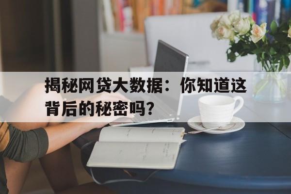 揭秘网贷大数据：你知道这背后的秘密吗？