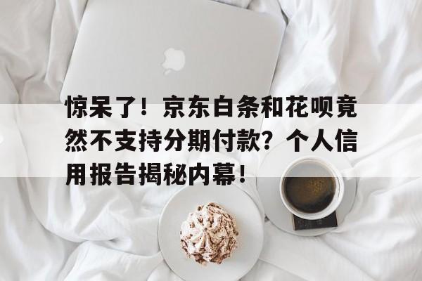 惊呆了！京东白条和花呗竟然不支持分期付款？个人信用报告揭秘内幕！