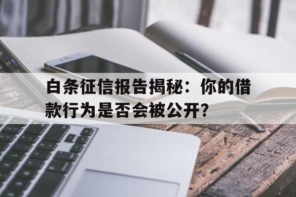 白条征信报告揭秘：你的借款行为是否会被公开？