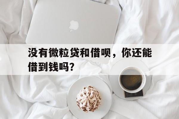 没有微粒贷和借呗，你还能借到钱吗？