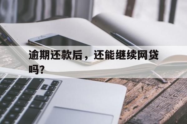 逾期还款后，还能继续网贷吗？