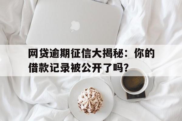 网贷逾期征信大揭秘：你的借款记录被公开了吗？