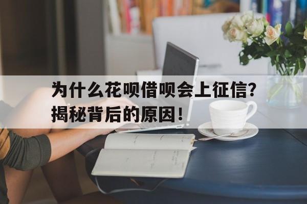 为什么花呗借呗会上征信？揭秘背后的原因！