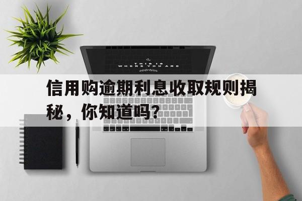 信用购逾期利息收取规则揭秘，你知道吗？