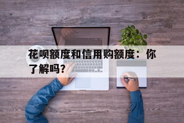 花呗额度和信用购额度：你了解吗？