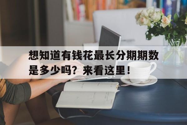 想知道有钱花最长分期期数是多少吗？来看这里！