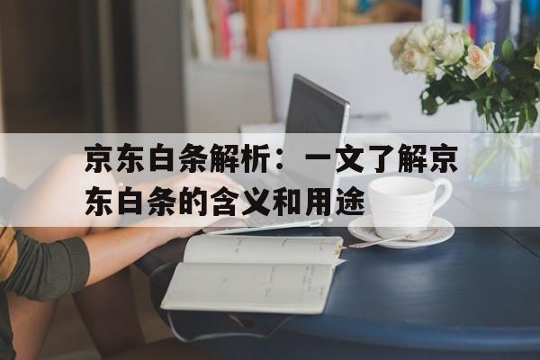 京东白条解析：一文了解京东白条的含义和用途