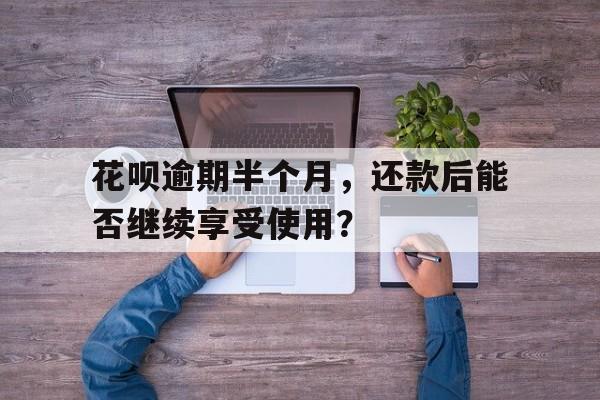 花呗逾期半个月，还款后能否继续享受使用？