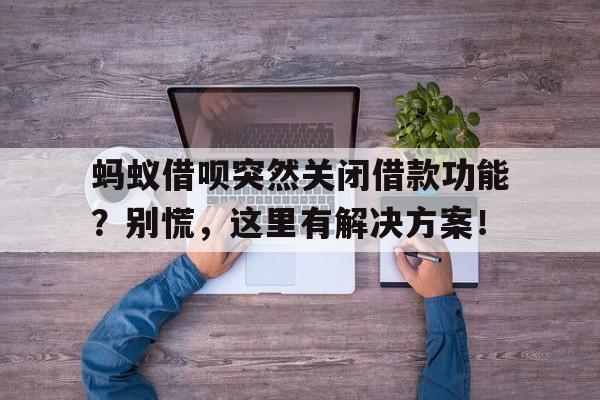 蚂蚁借呗突然关闭借款功能？别慌，这里有解决方案！