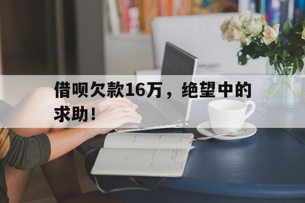 借呗欠款16万，绝望中的求助！