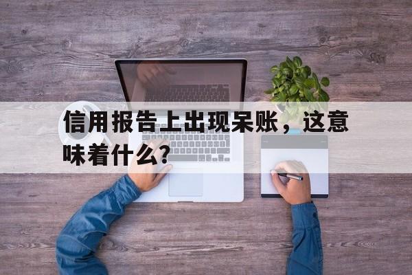 信用报告上出现呆账，这意味着什么？