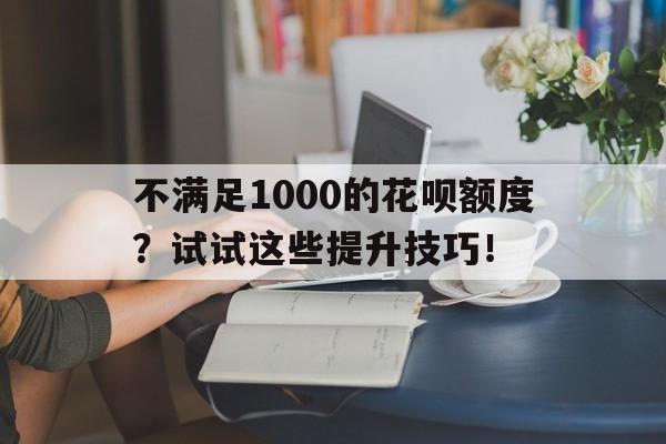 不满足1000的花呗额度？试试这些提升技巧！