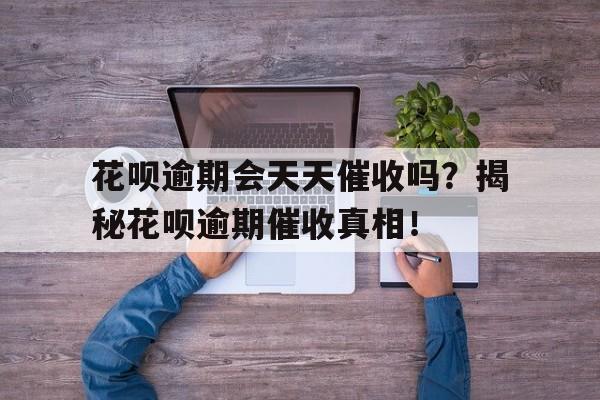 花呗逾期会天天催收吗？揭秘花呗逾期催收真相！