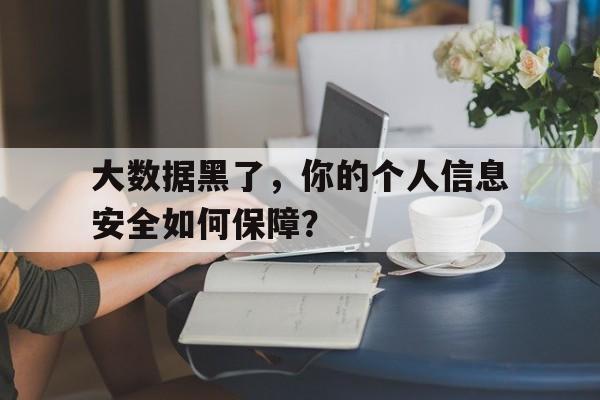 大数据黑了，你的个人信息安全如何保障？