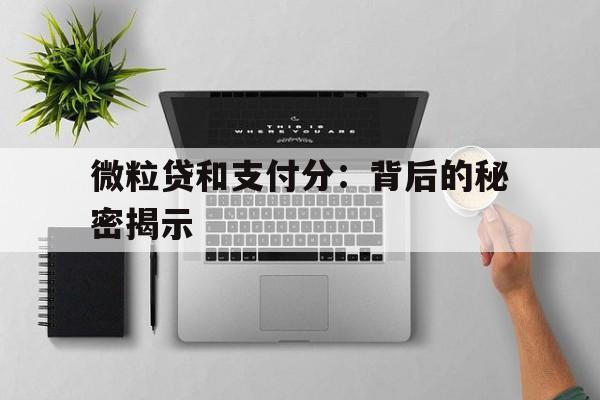 微粒贷和支付分：背后的秘密揭示