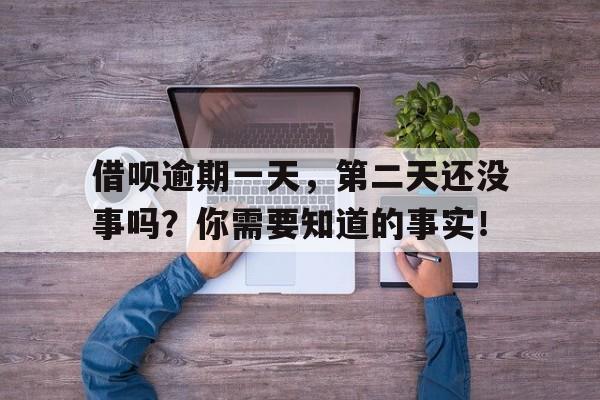 借呗逾期一天，第二天还没事吗？你需要知道的事实！