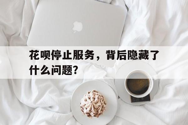 花呗停止服务，背后隐藏了什么问题？