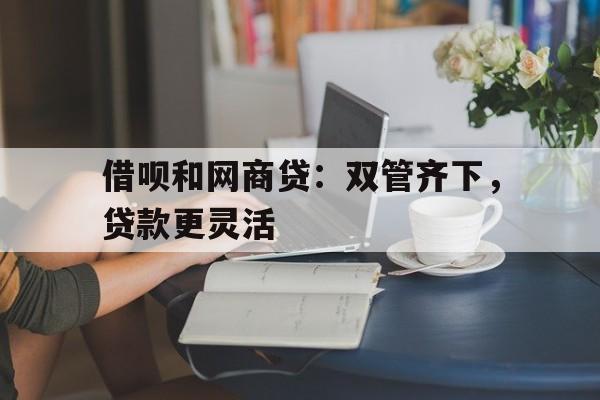 借呗和网商贷：双管齐下，贷款更灵活