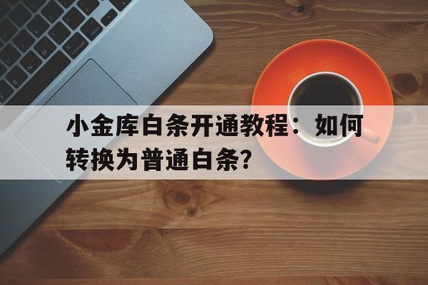 小金库白条开通教程：如何转换为普通白条？