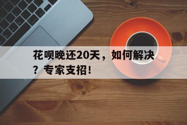 花呗晚还20天，如何解决？专家支招！