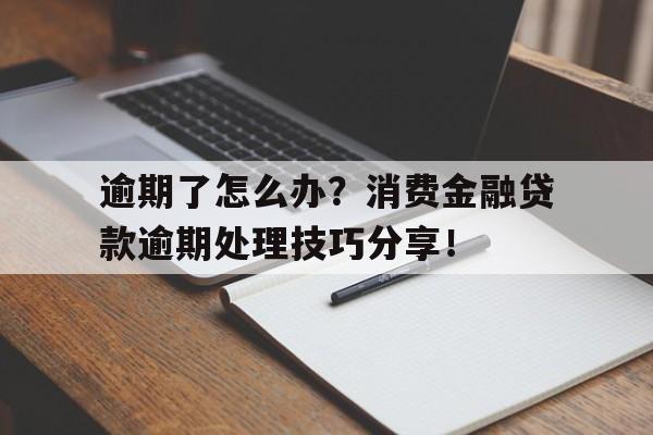 逾期了怎么办？消费金融贷款逾期处理技巧分享！