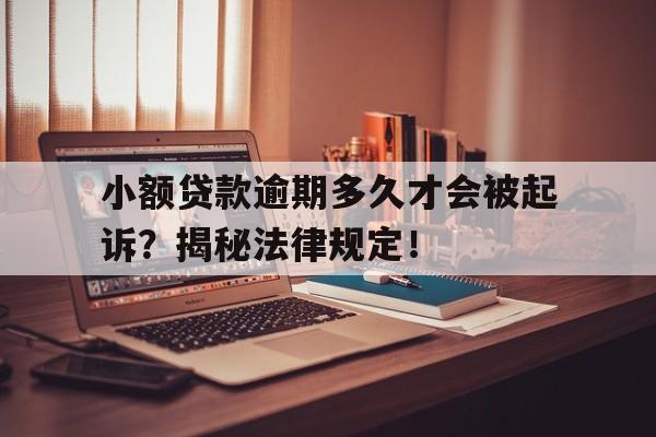 小额贷款逾期多久才会被起诉？揭秘法律规定！