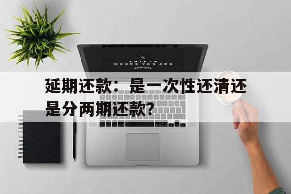 延期还款：是一次性还清还是分两期还款？