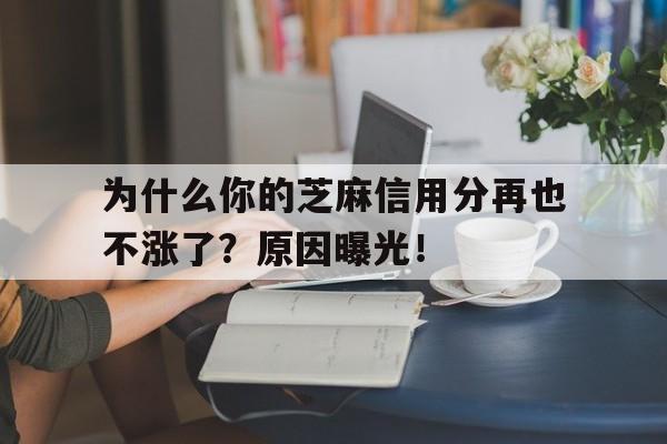 为什么你的芝麻信用分再也不涨了？原因曝光！