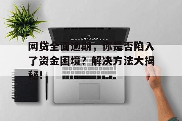 网贷全面逾期，你是否陷入了资金困境？解决方法大揭秘！