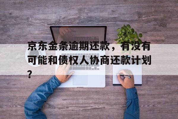 京东金条逾期还款，有没有可能和债权人协商还款计划？