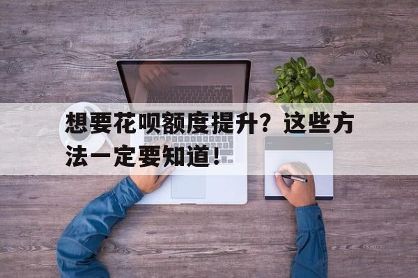 想要花呗额度提升？这些方法一定要知道！