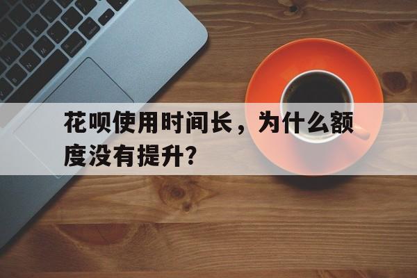 花呗使用时间长，为什么额度没有提升？