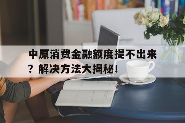 中原消费金融额度提不出来？解决方法大揭秘！