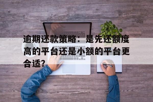 逾期还款策略：是先还额度高的平台还是小额的平台更合适？