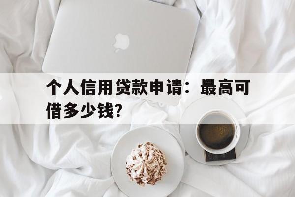 个人信用贷款申请：最高可借多少钱？