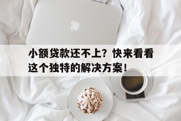 小额贷款还不上？快来看看这个独特的解决方案！