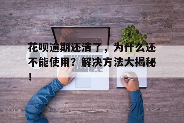 花呗逾期还清了，为什么还不能使用？解决方法大揭秘！