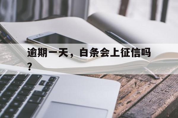 逾期一天，白条会上征信吗？