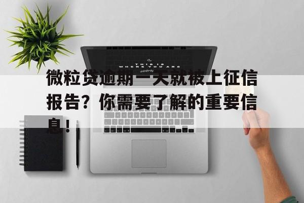 微粒贷逾期一天就被上征信报告？你需要了解的重要信息！