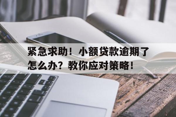 紧急求助！小额贷款逾期了怎么办？教你应对策略！