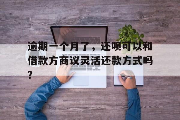 逾期一个月了，还呗可以和借款方商议灵活还款方式吗？