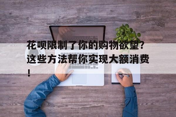 花呗限制了你的购物欲望？这些方法帮你实现大额消费！