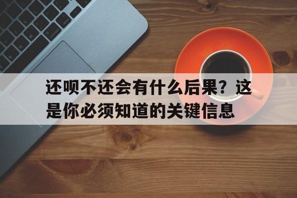 还呗不还会有什么后果？这是你必须知道的关键信息