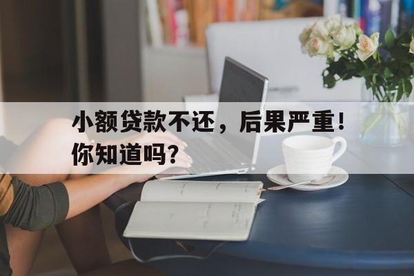 小额贷款不还，后果严重！你知道吗？