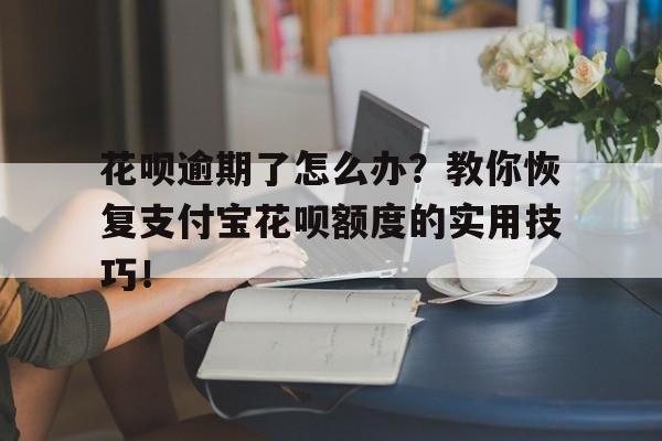 花呗逾期了怎么办？教你恢复支付宝花呗额度的实用技巧！