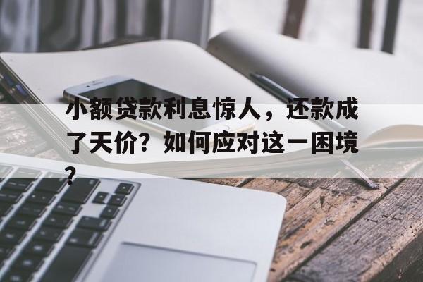 小额贷款利息惊人，还款成了天价？如何应对这一困境？